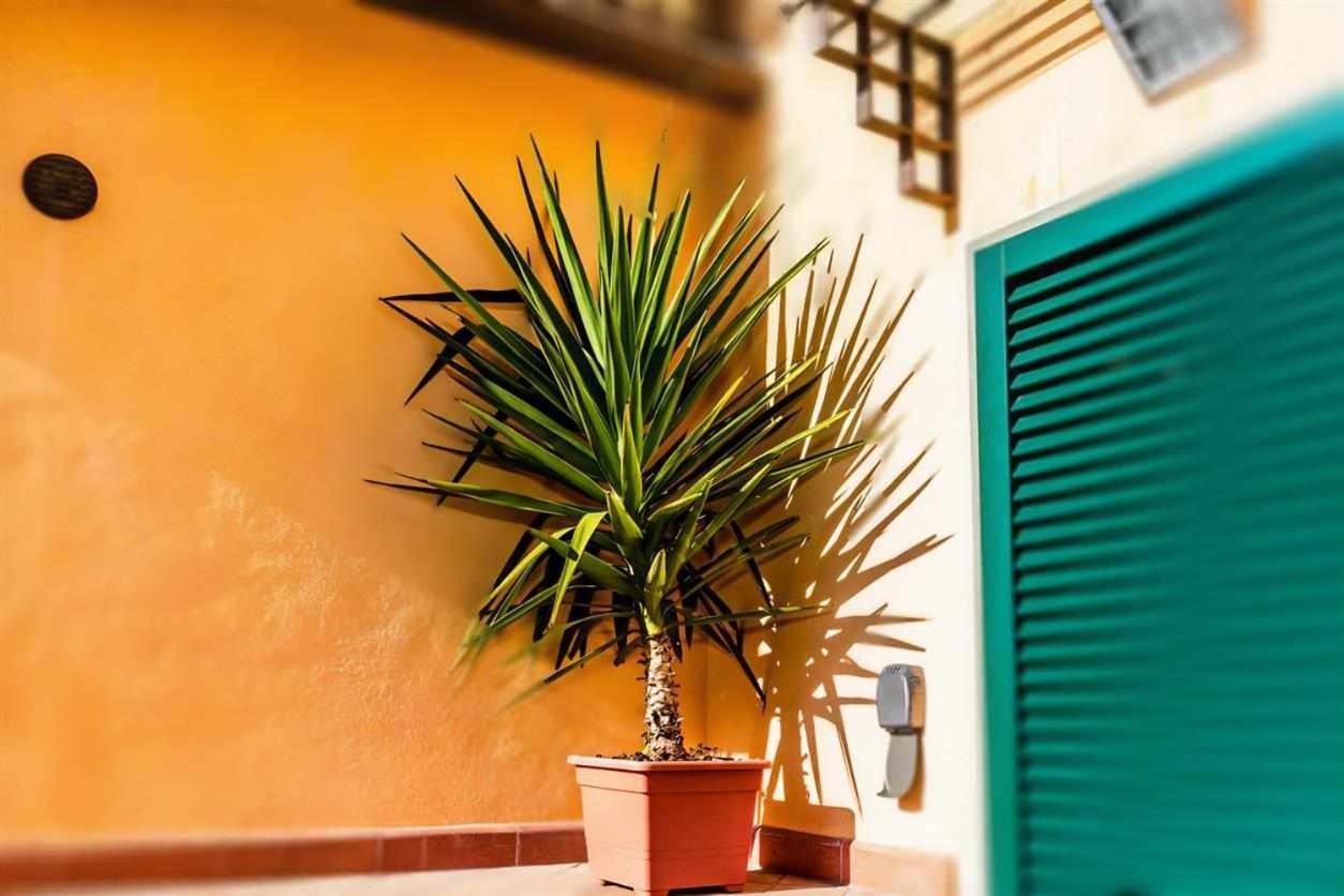 Appartamento Advocata Nostra Siena Esterno foto